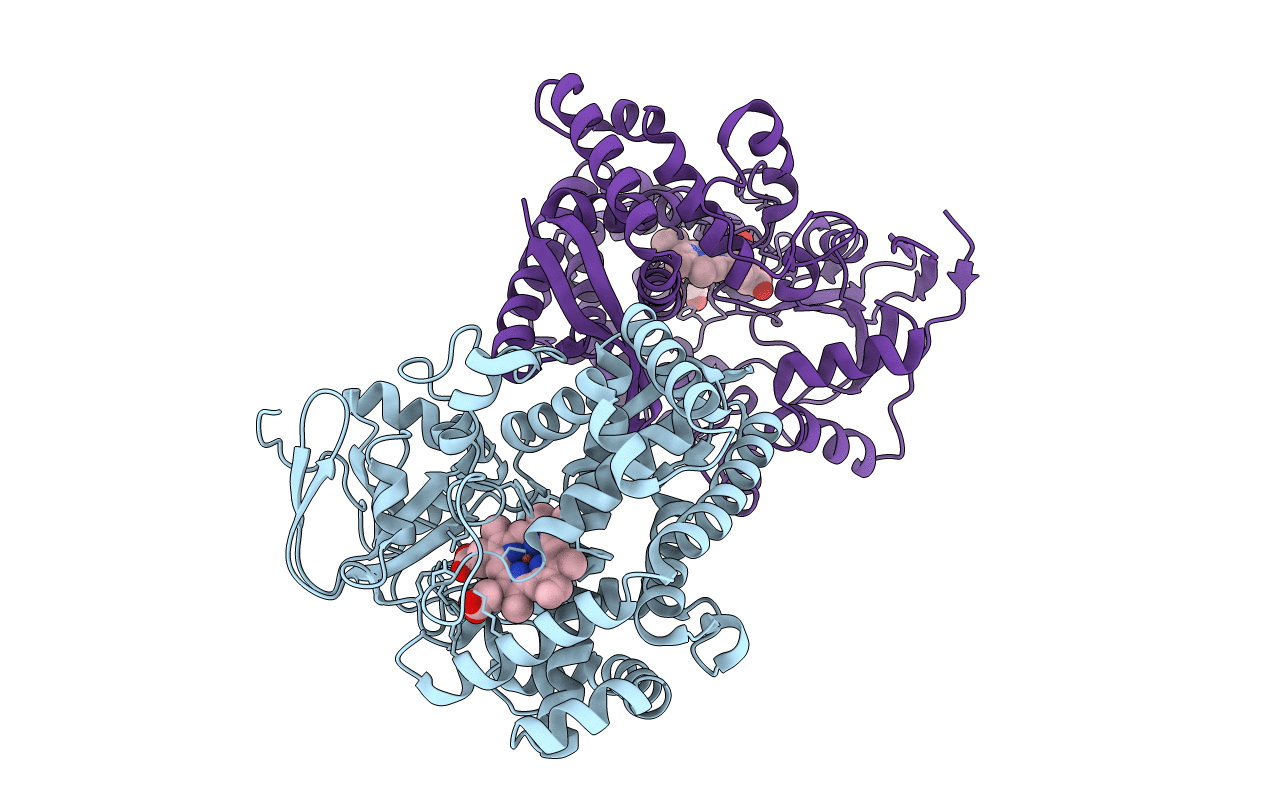 2RCM image