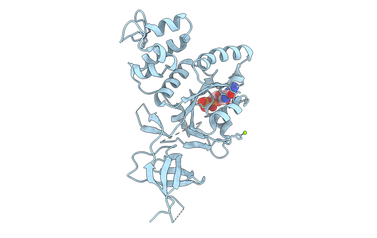 2RCN image