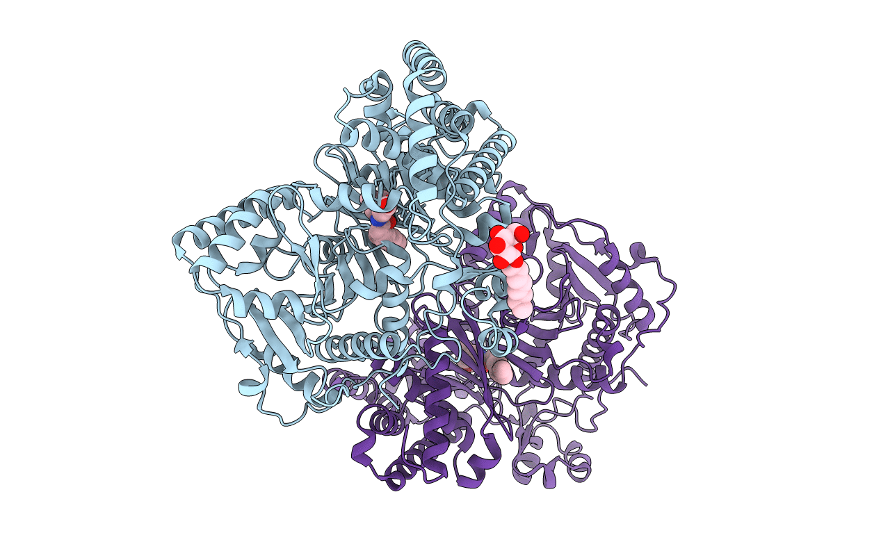 2RCU image