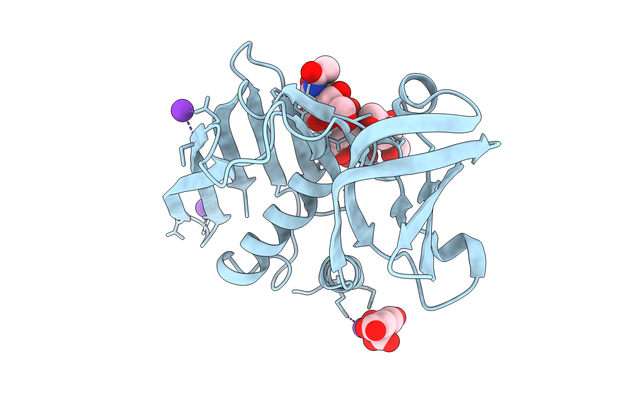 2RDG image