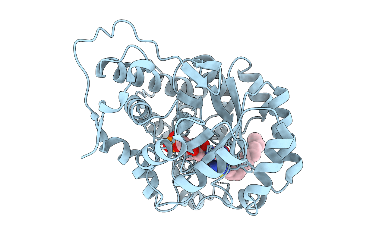 2RDT image