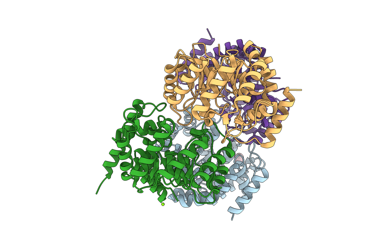 2RFG image