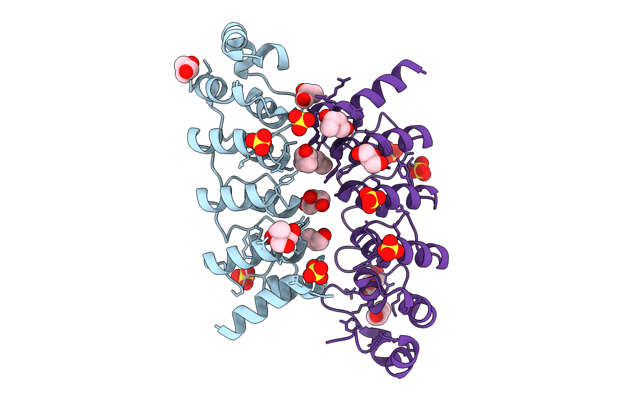 2RFM image