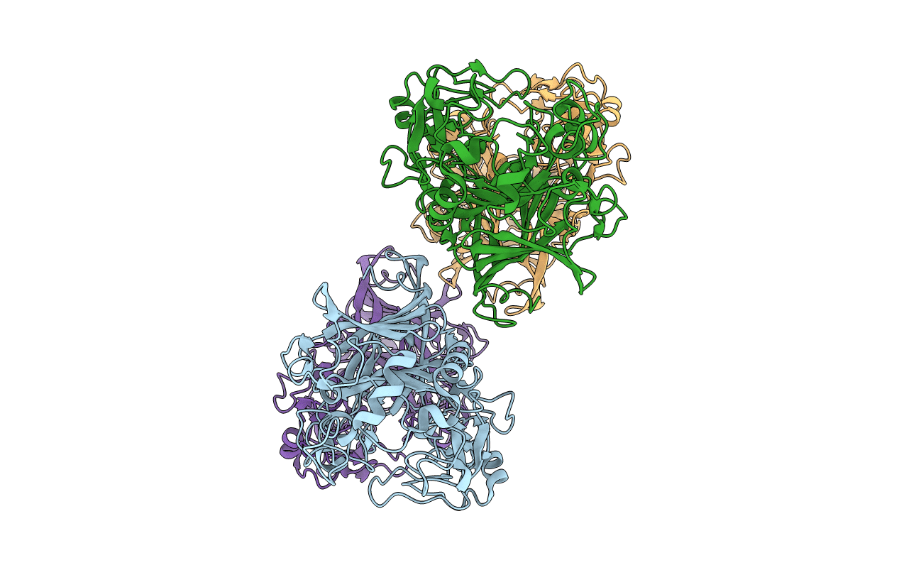 2RFW image