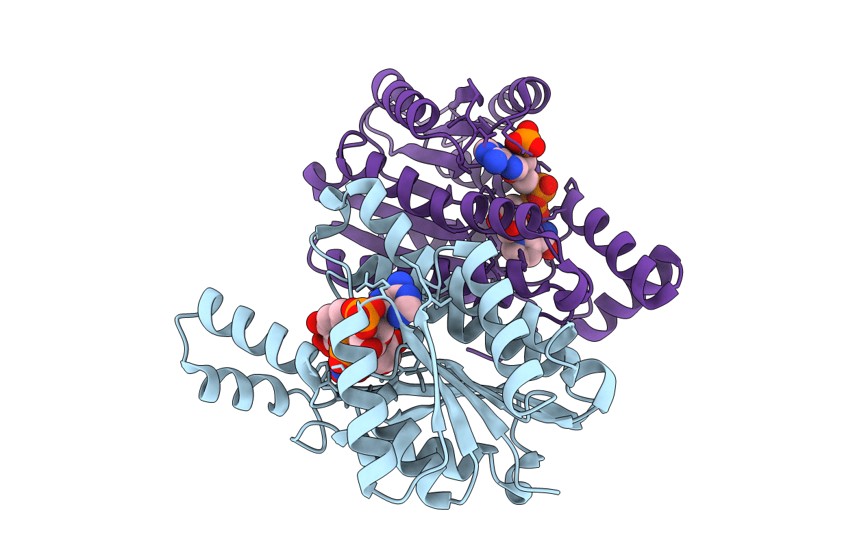 2RHC image