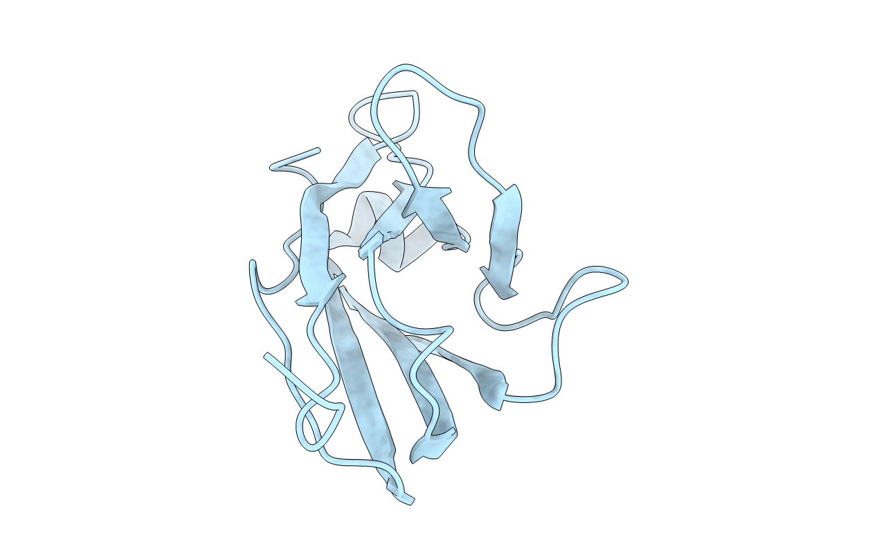 2RHE image