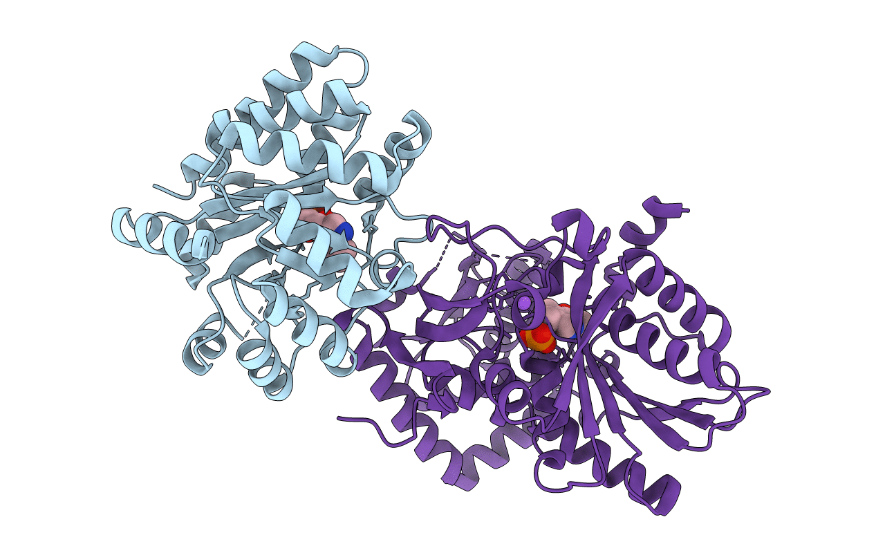 2RHG image