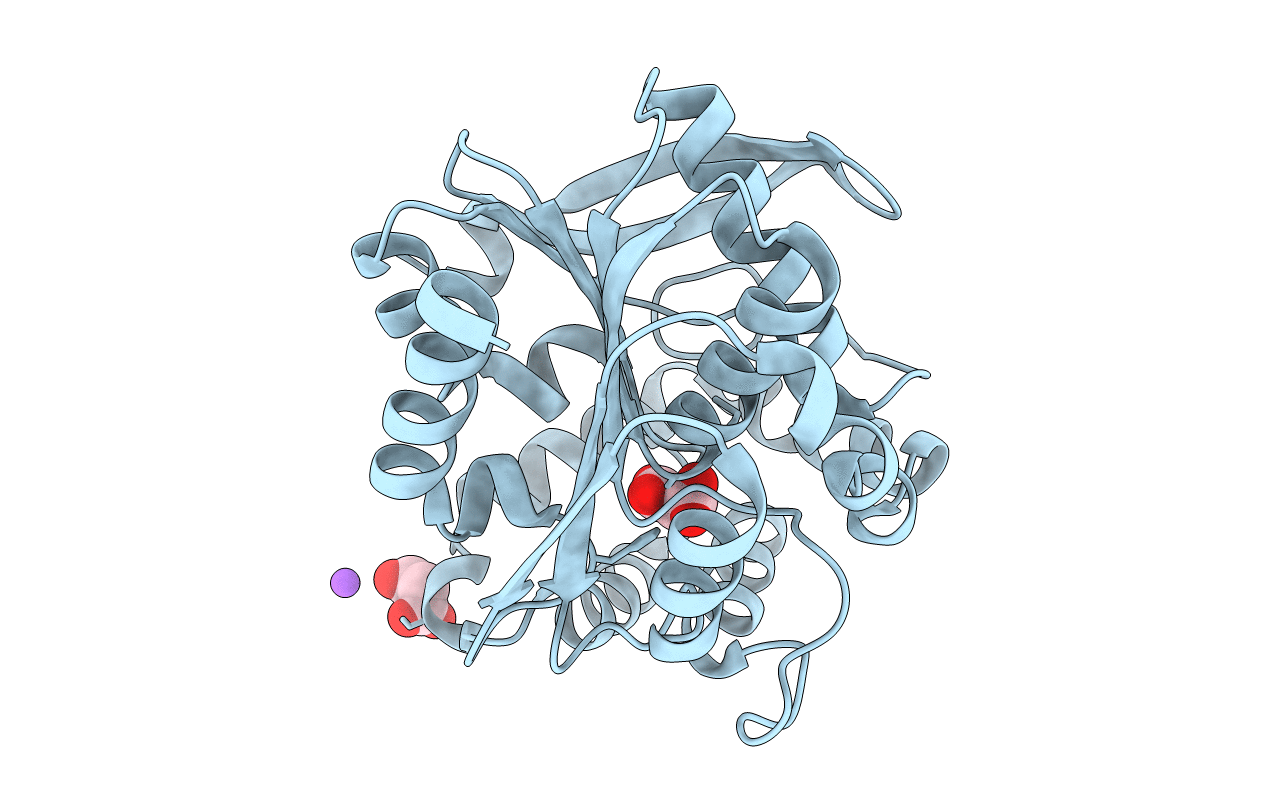 2RI6 image