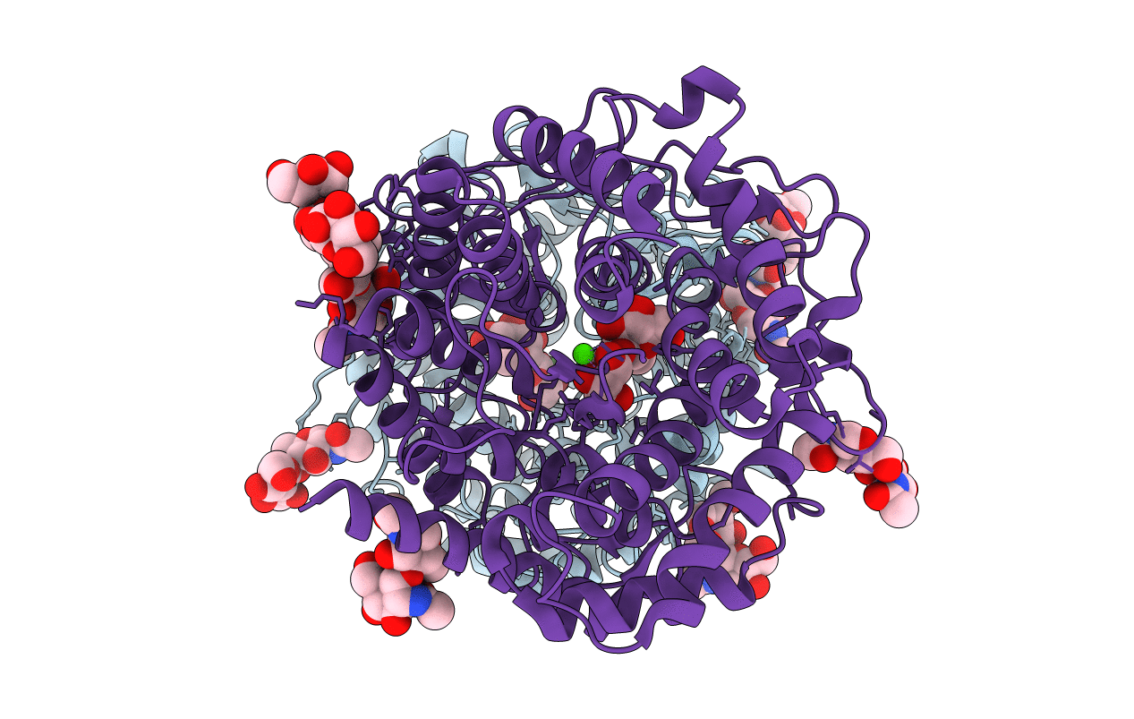 2RI9 image