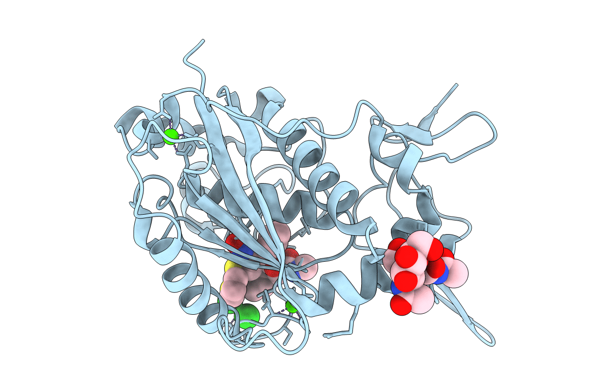 2RJQ image