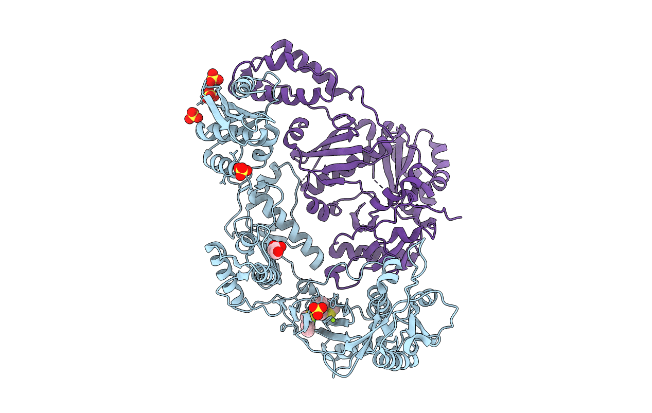 2RKI image