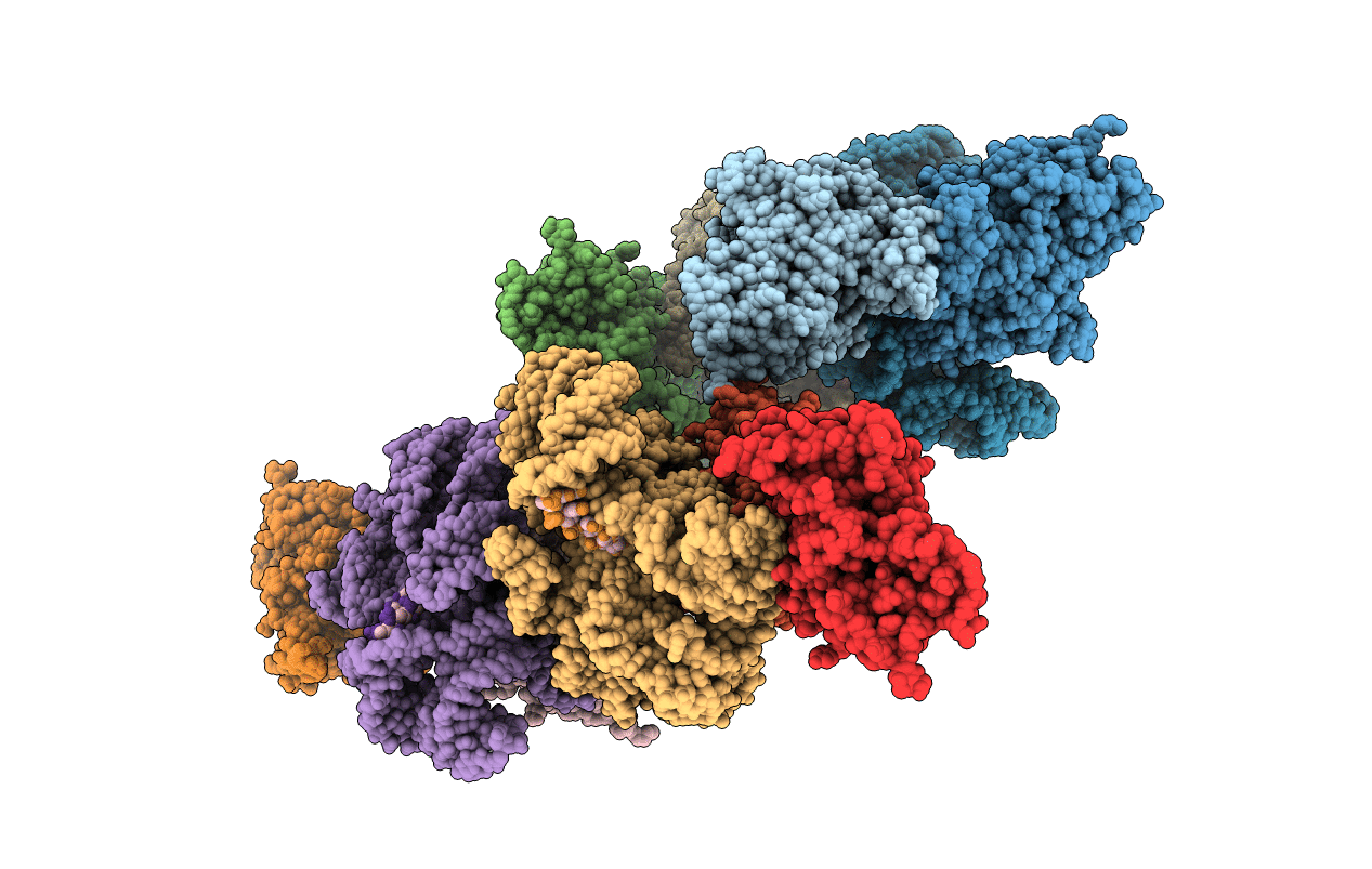 2RKJ image