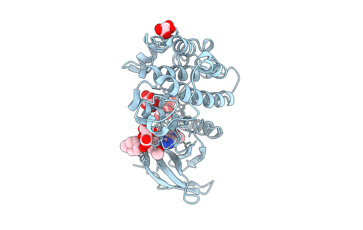 2RKU image