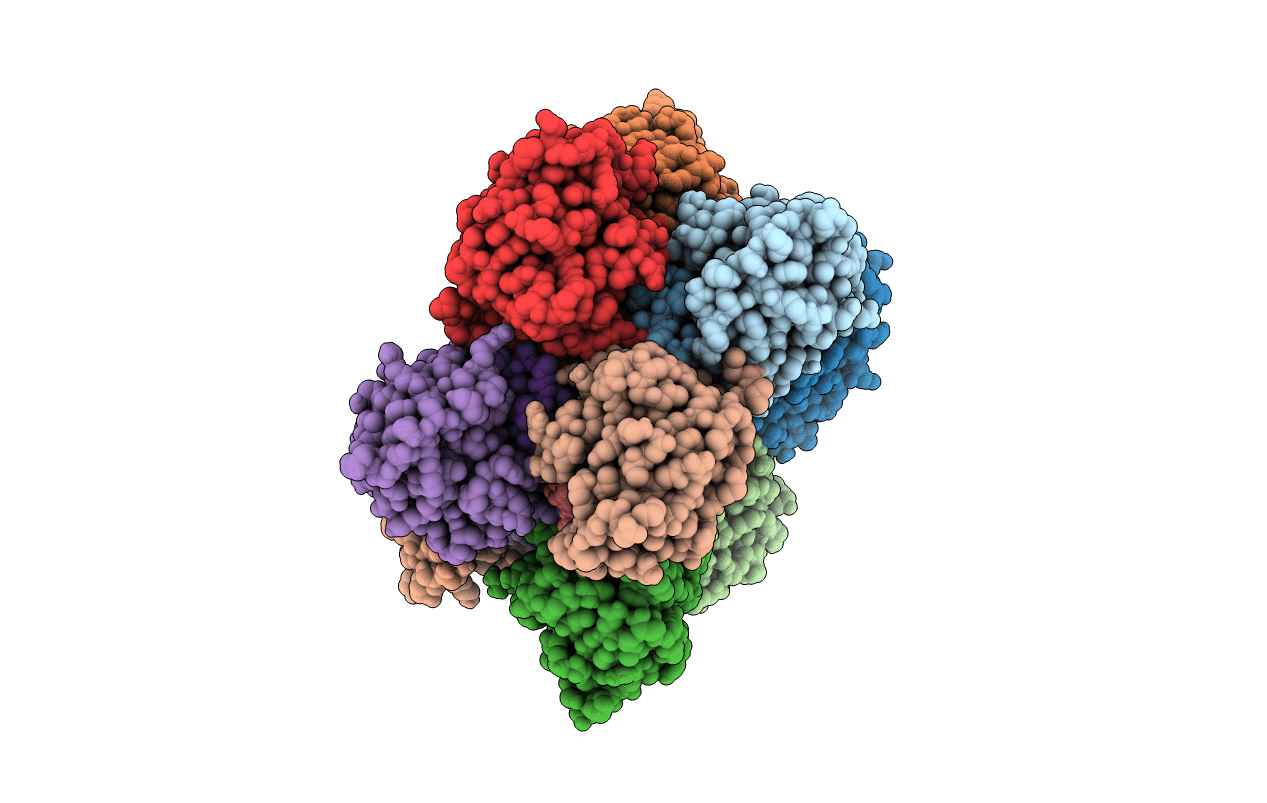 2RMA image