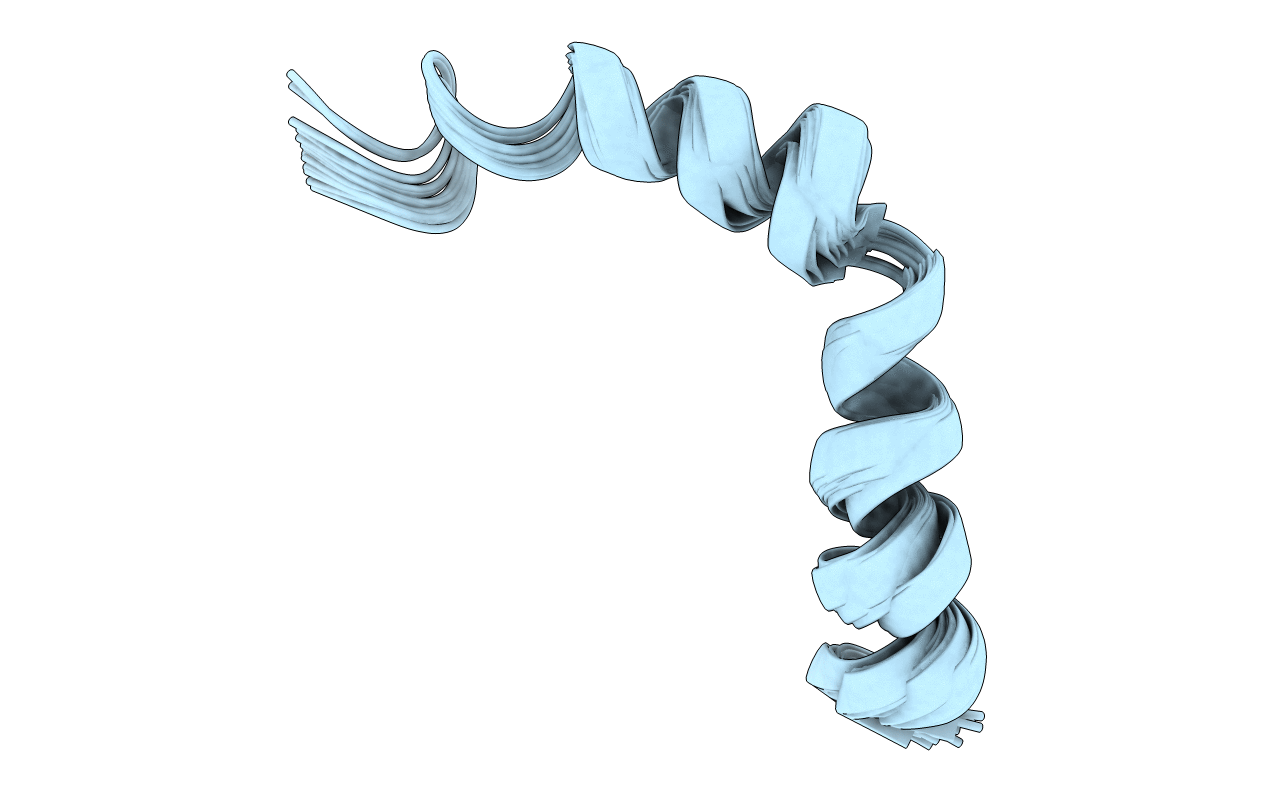 2RMD image