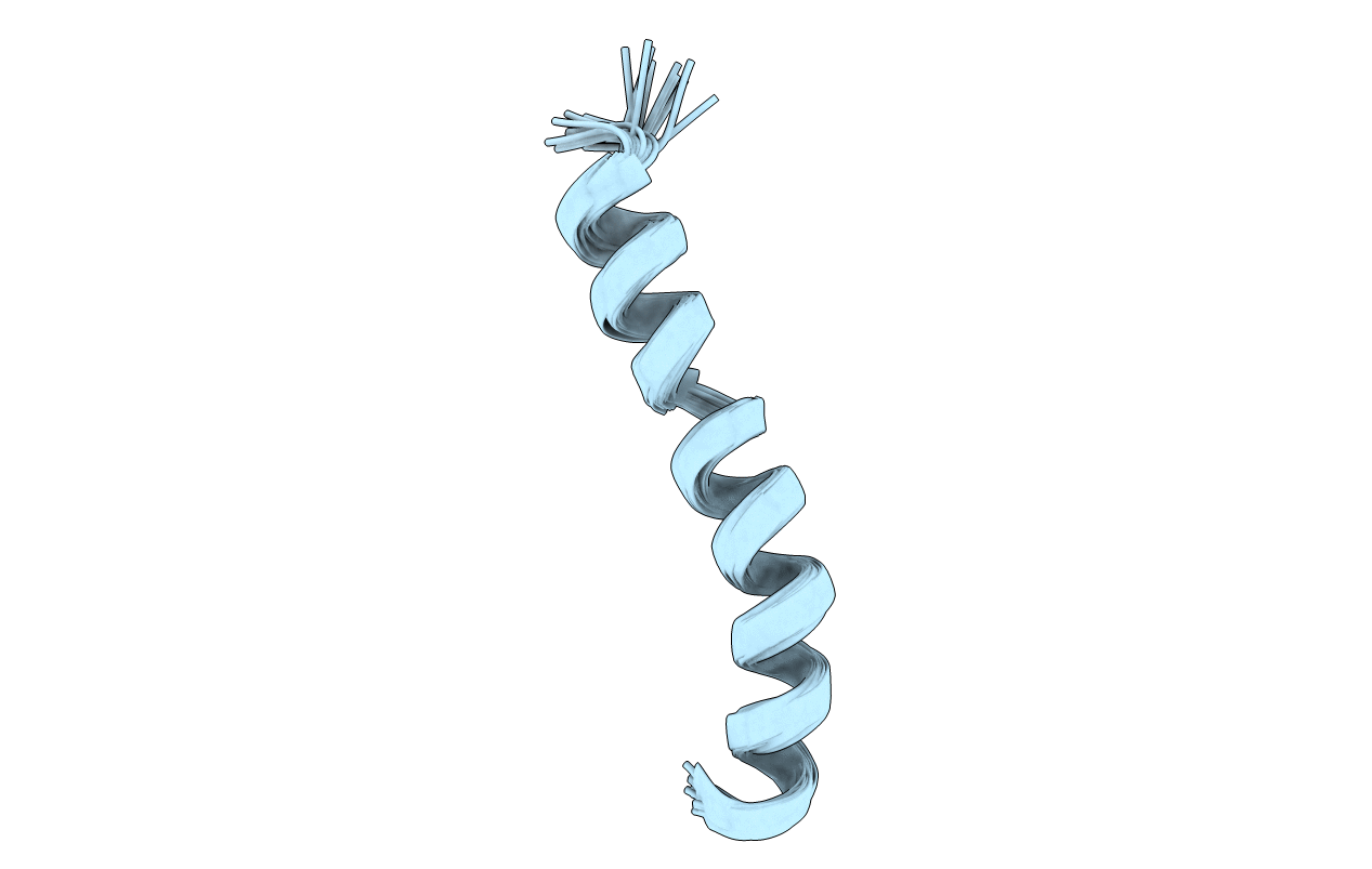 2RMI image