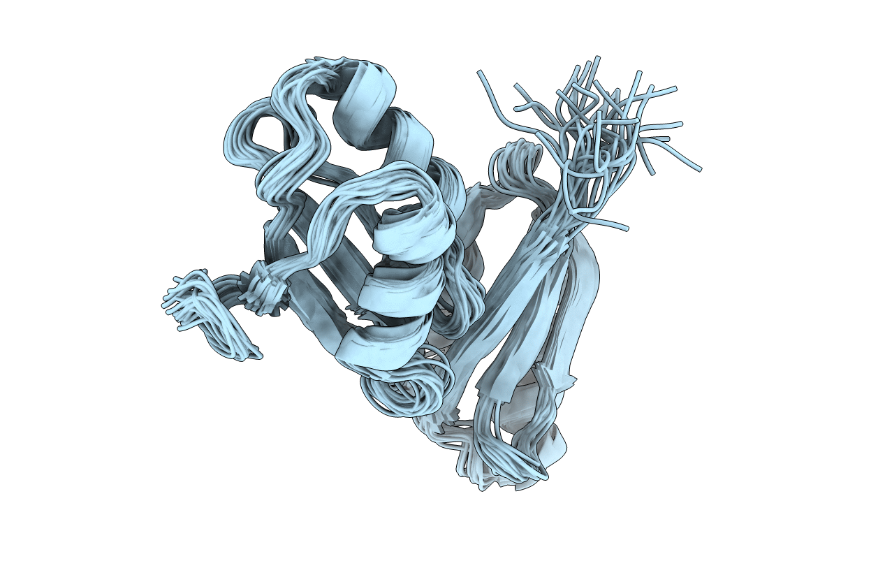 2RML image