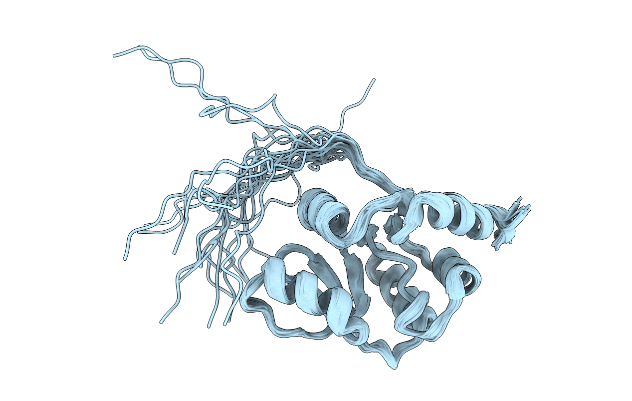 2RNK image