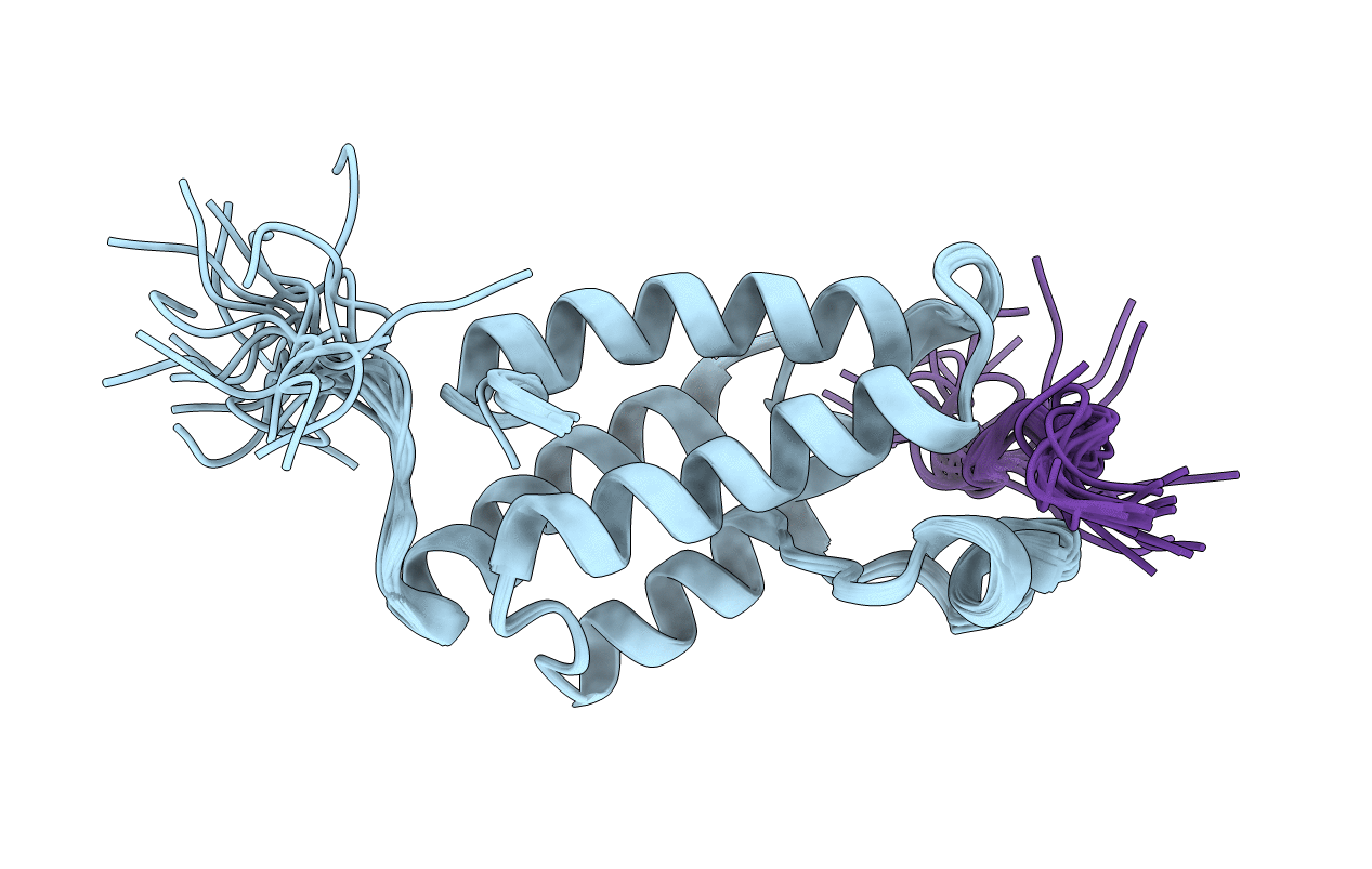 2RNX image