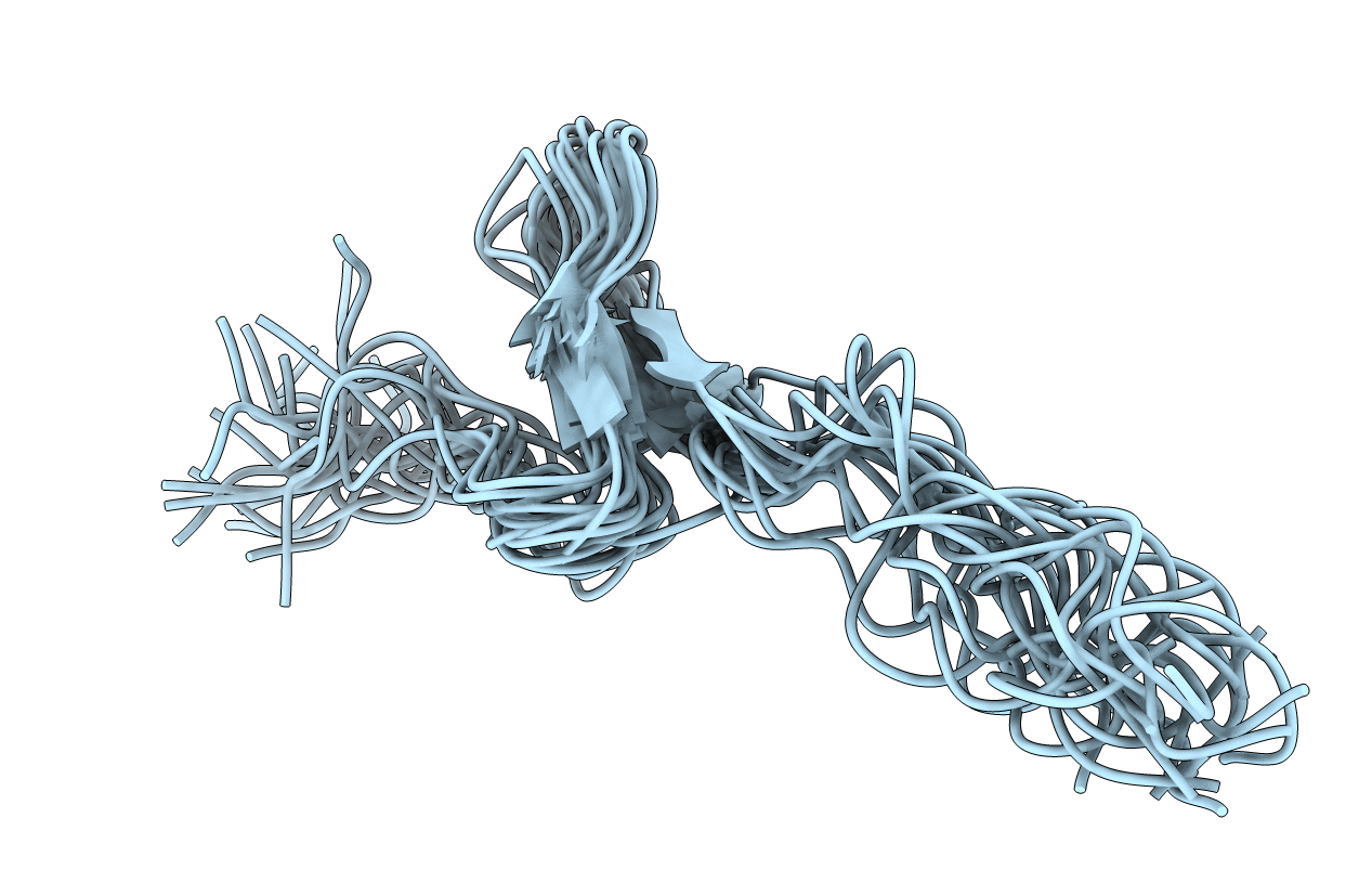 2RPS image