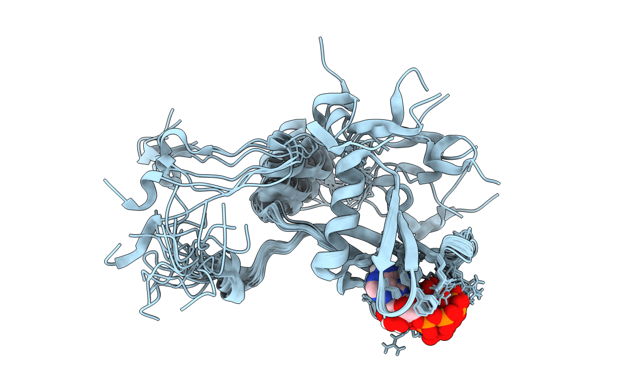2RSF image