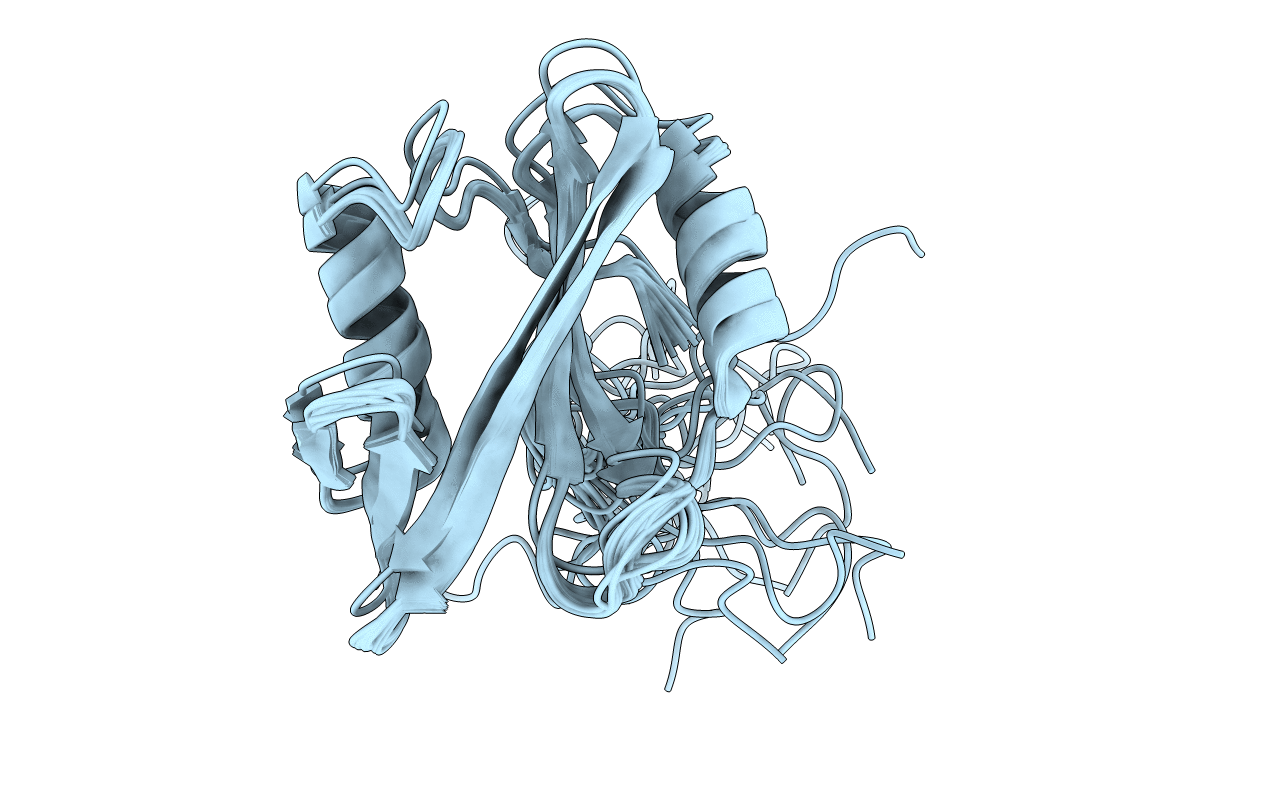 2RVF image