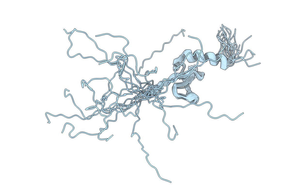 2RVM image