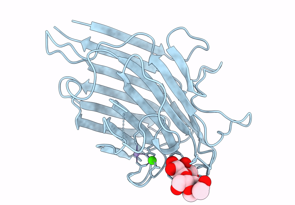 2SBA image