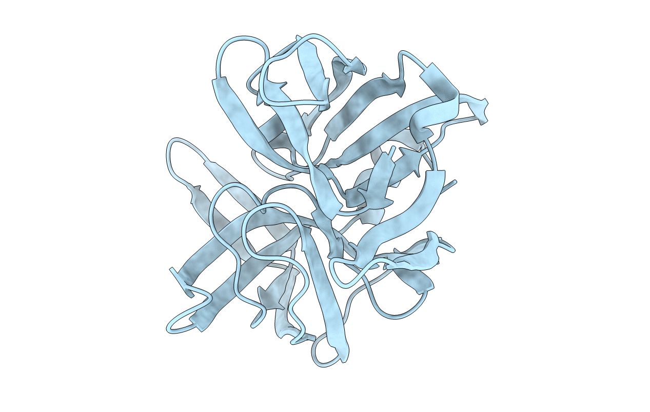 2SFA image