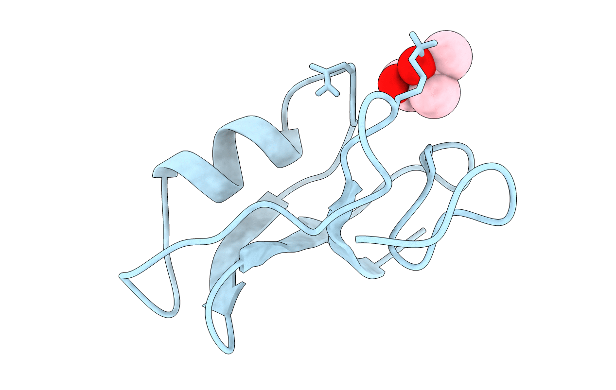 2SN3 image