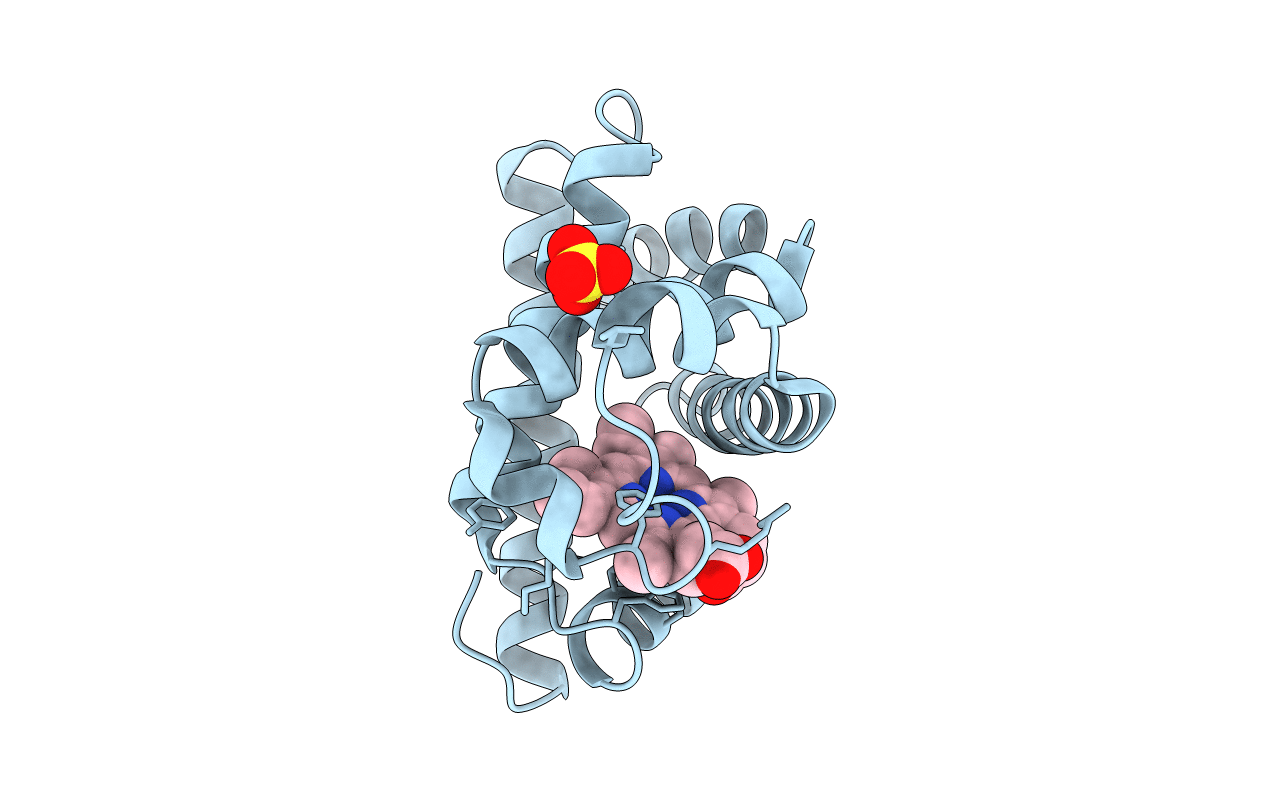 2SPO image