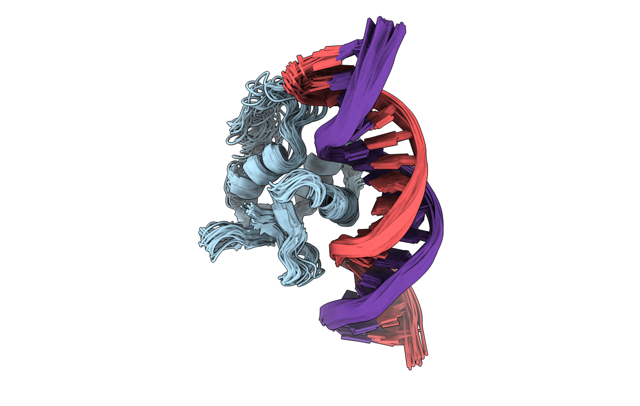 2STT image