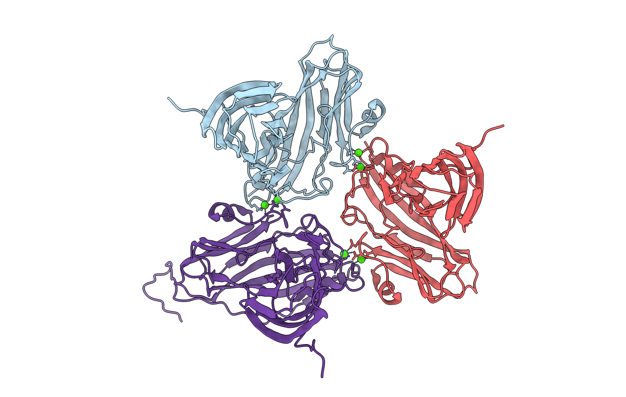 2TBV image