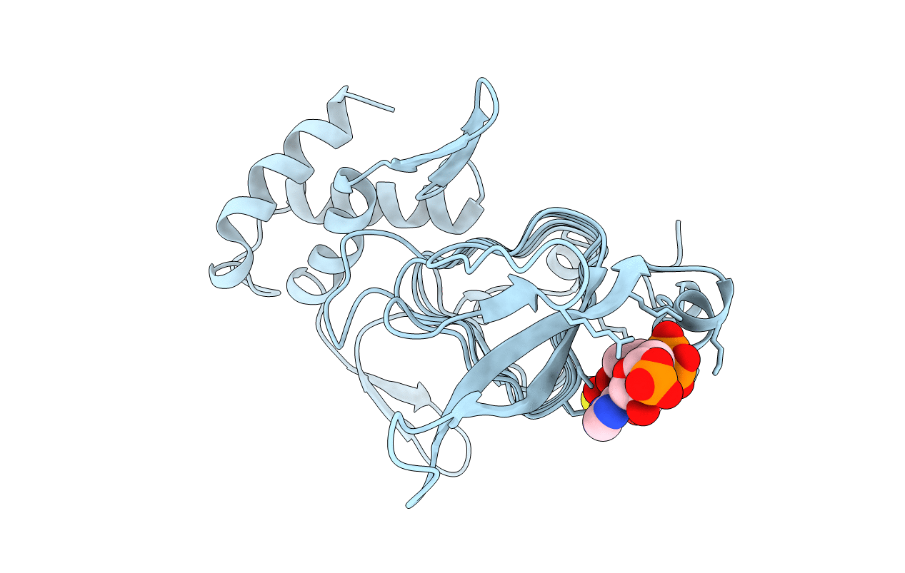 2TDT image