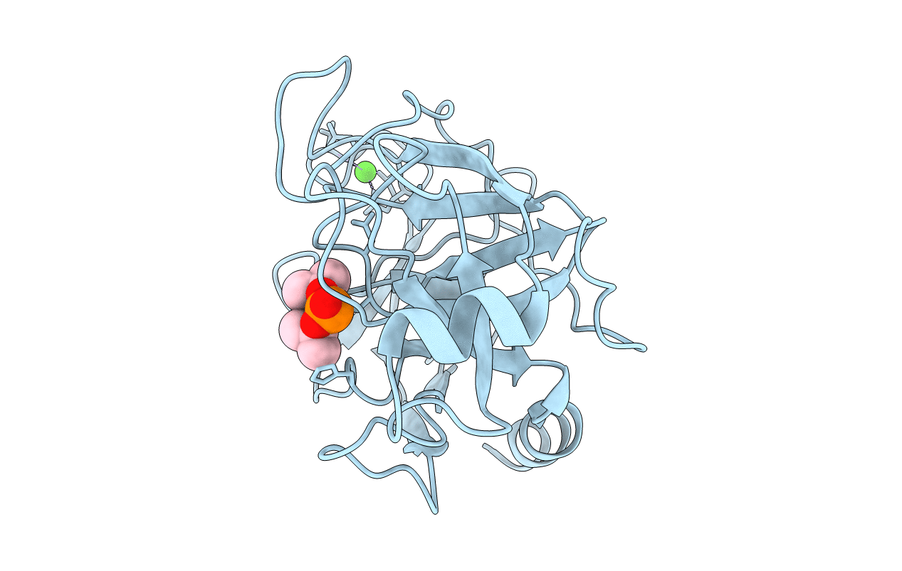 2TGD image