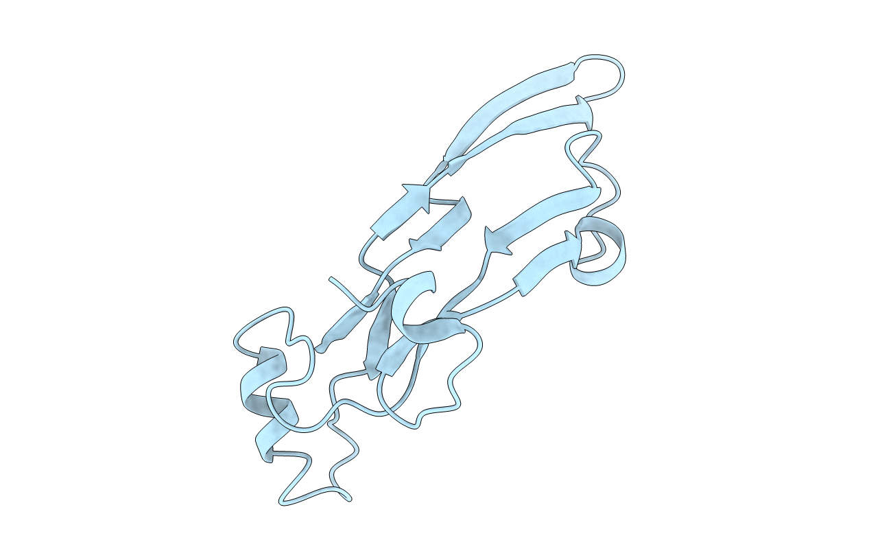 2TGI image