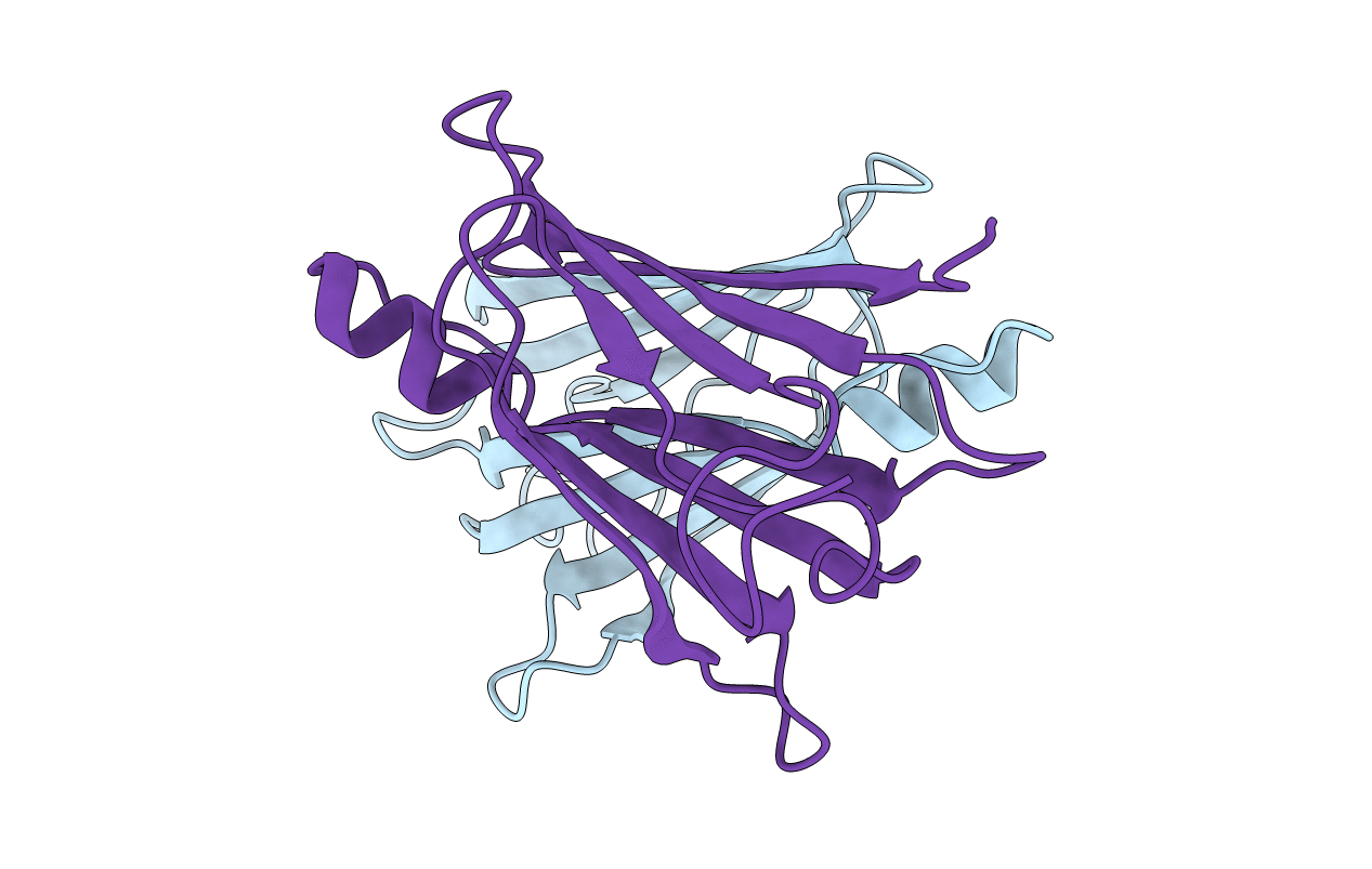 2TRH image