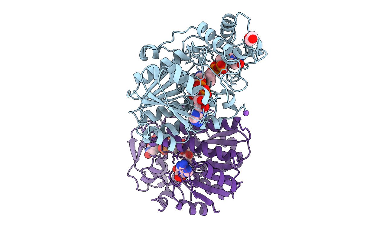 2UDP image