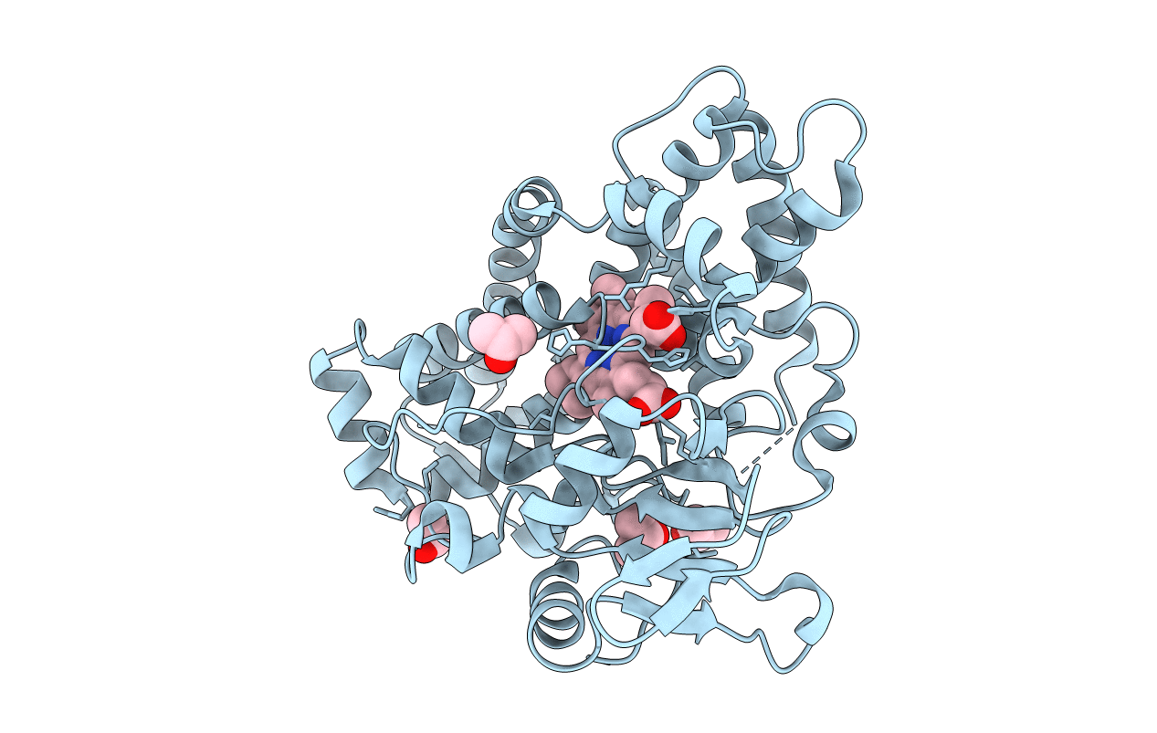 2UUQ image