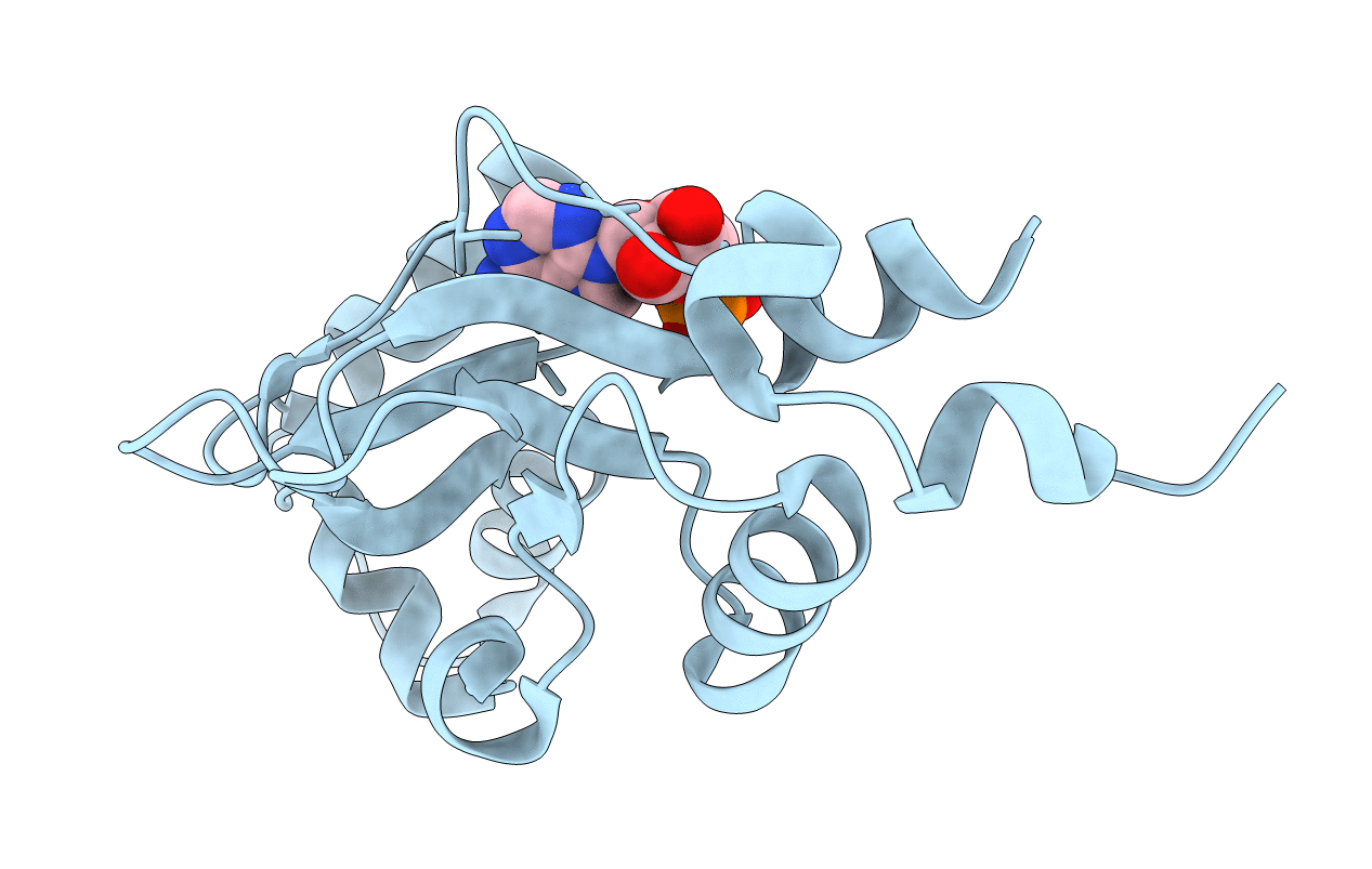 2UV4 image