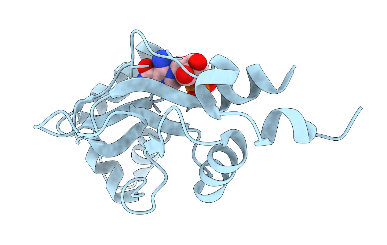 2UV5 image