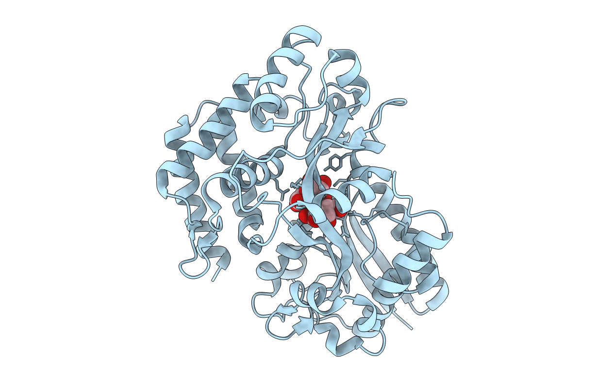 2UVH image