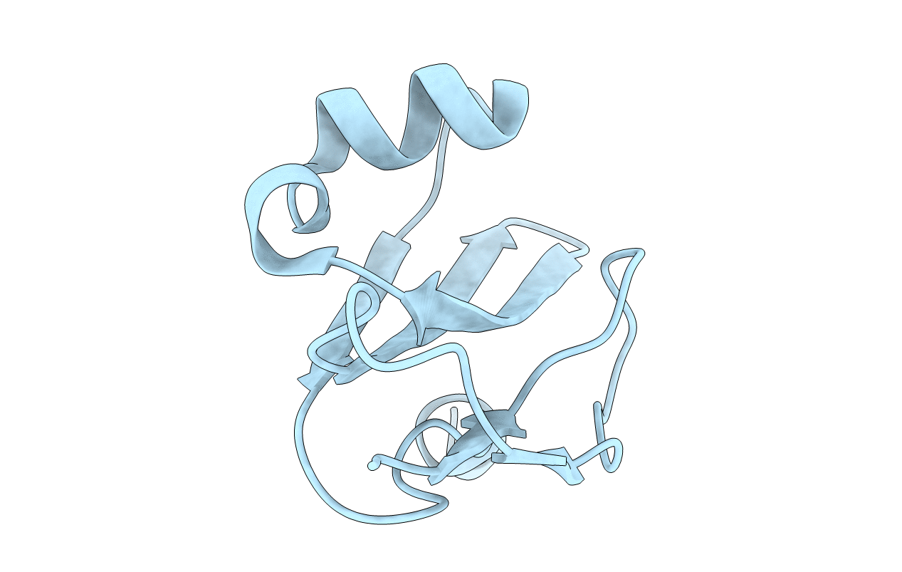 2UWR image