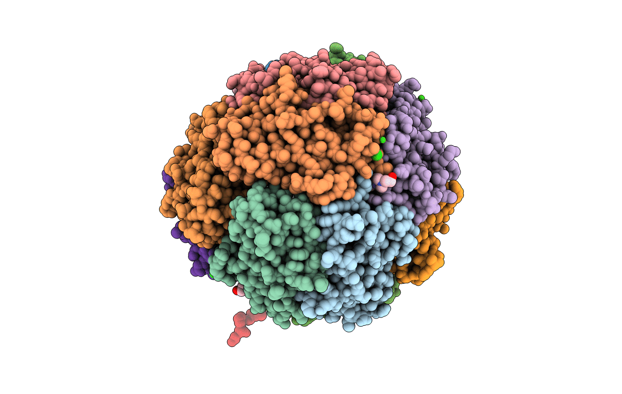 2UX1 image