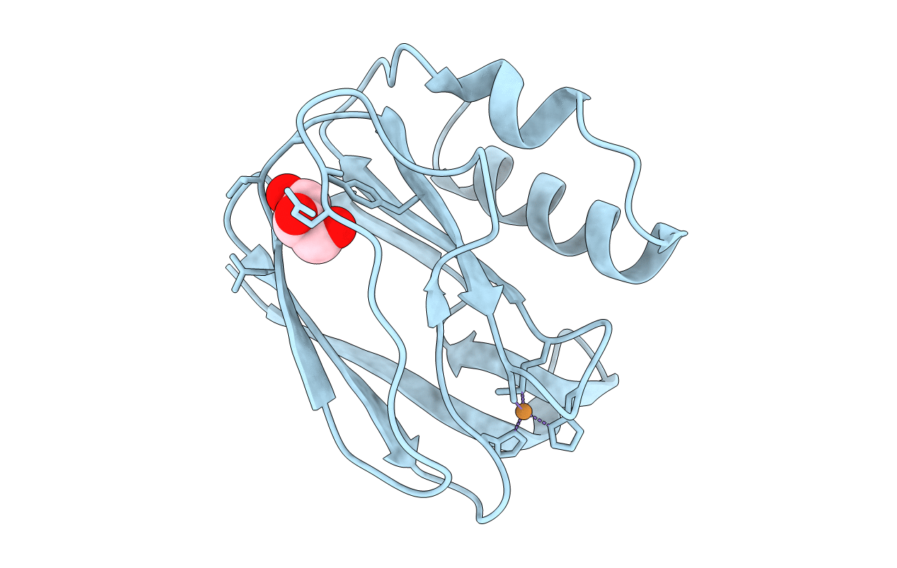 2UXF image
