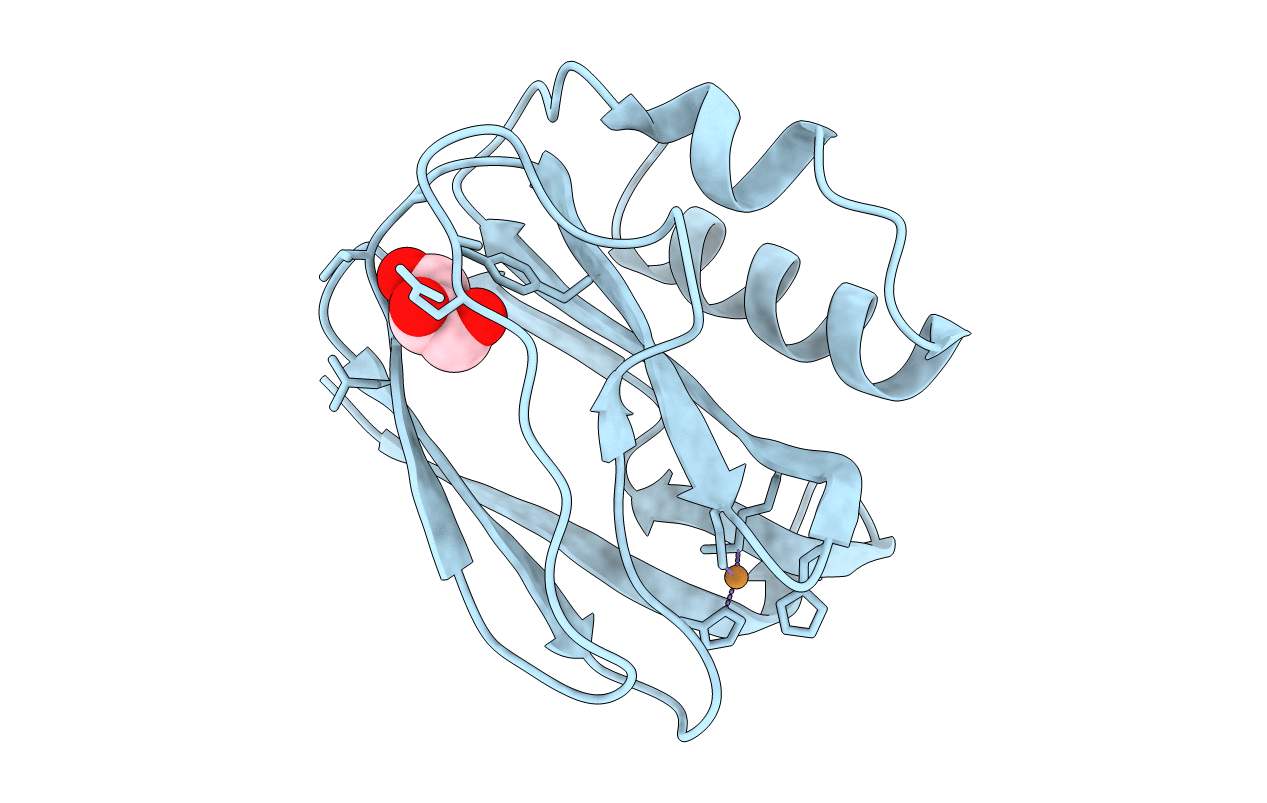 2UXG image