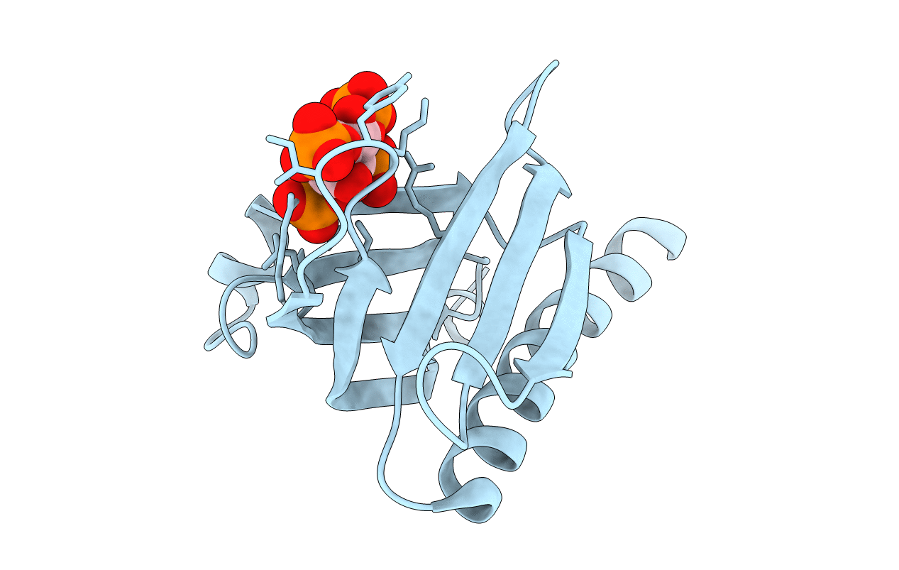2UZS image