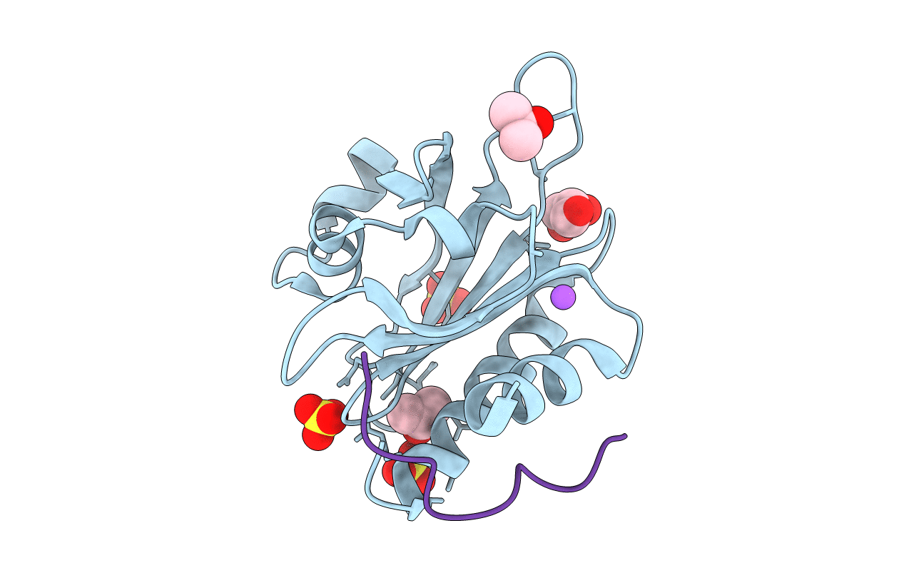 2V8C image