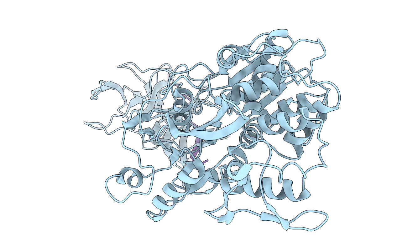 2VBC image