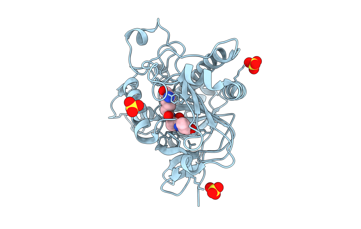 2VBP image